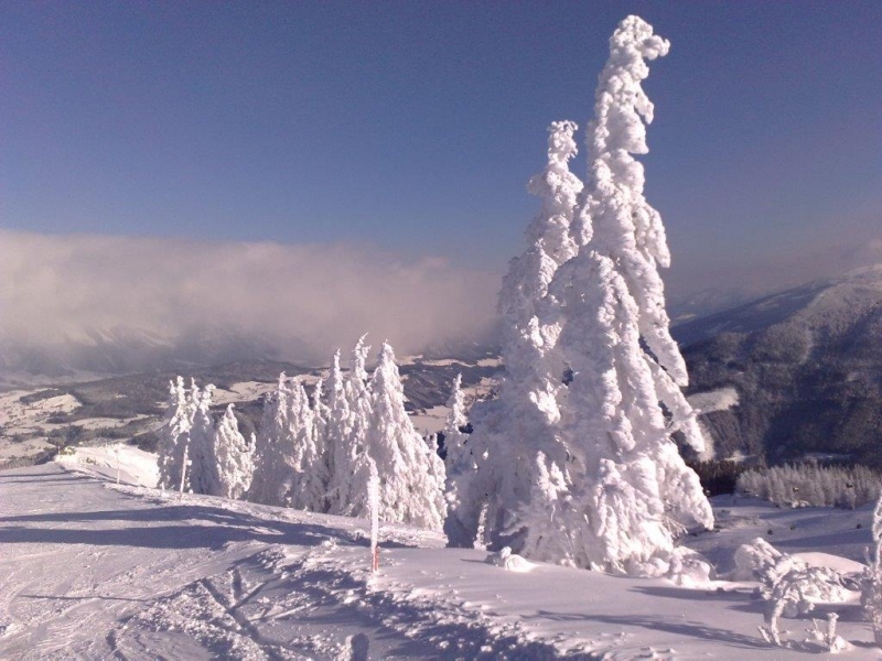 Test_7