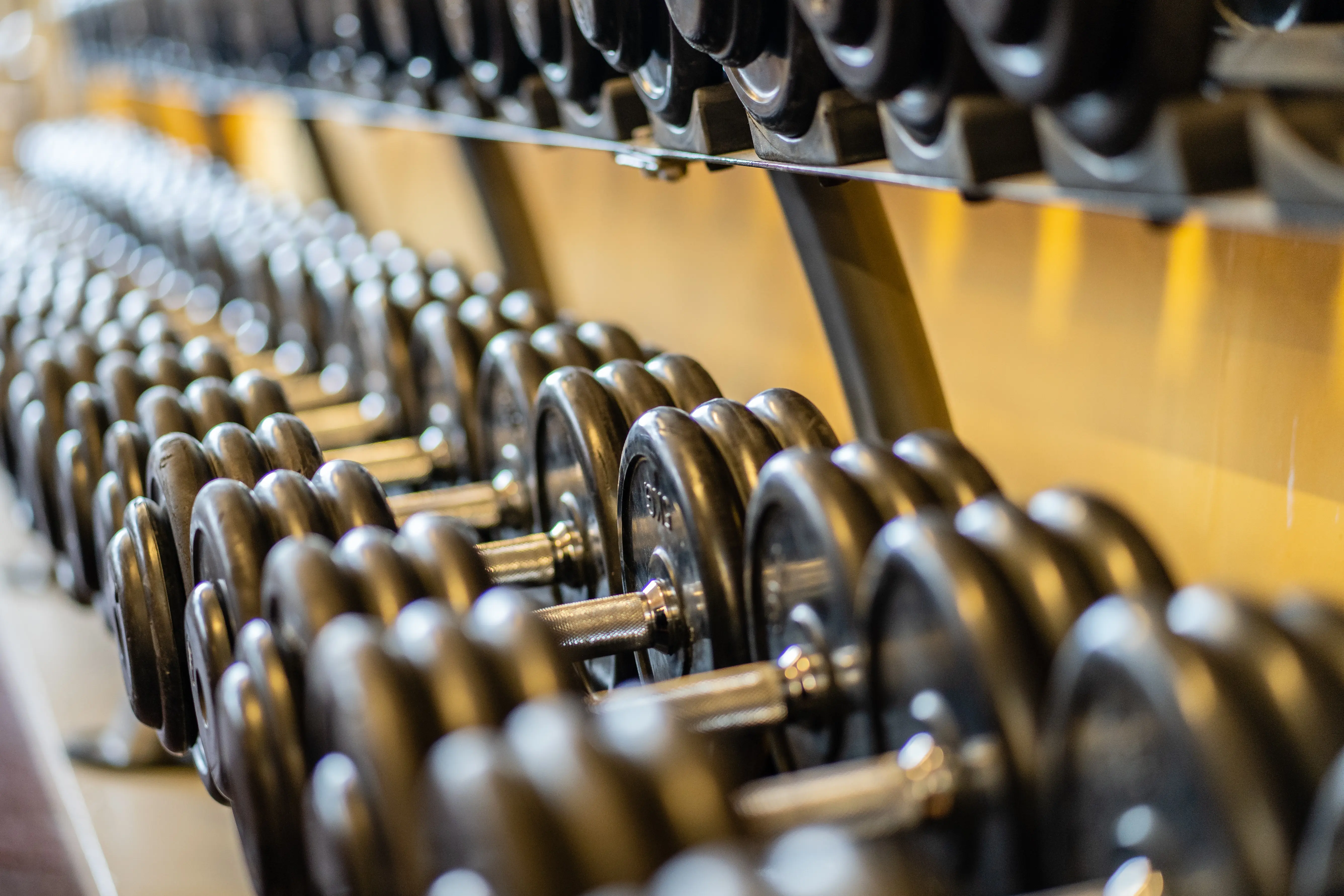 Freihantelbereich im Bodyform Studio