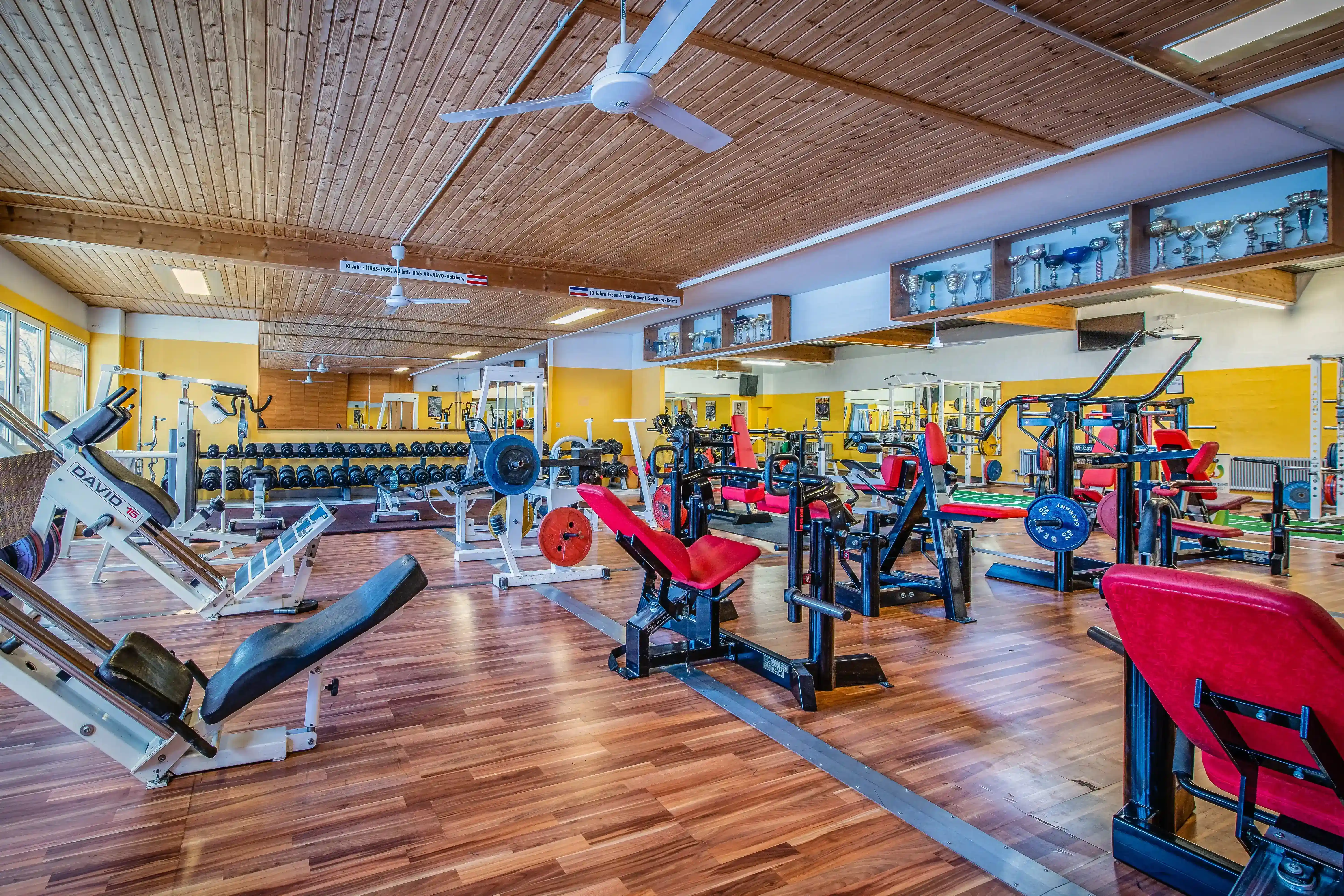 Studio Bereich Krafttraining im Bodyform Studio mit Eleiko, David, Schnell und vielen Profi Geräten