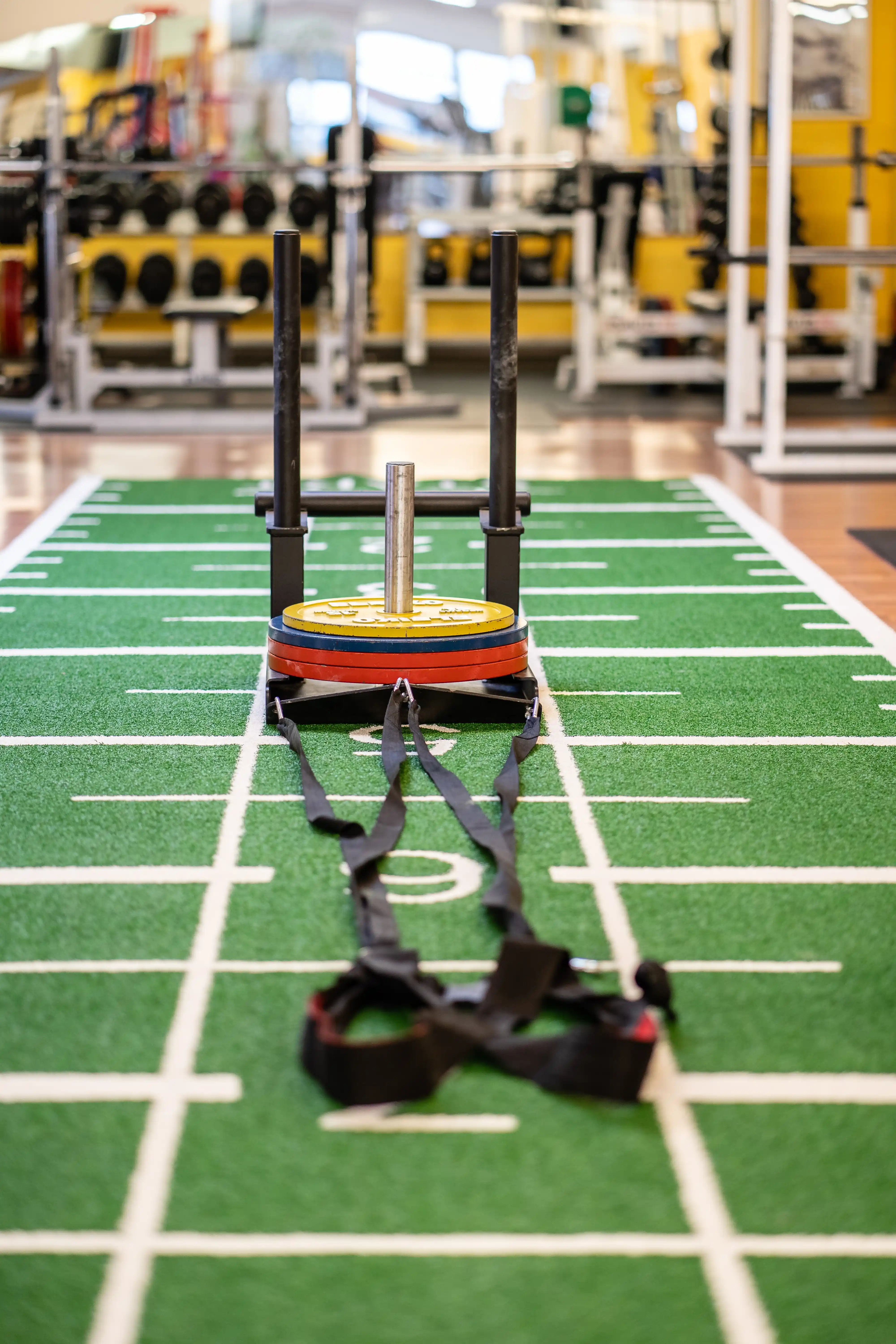 Functional Training